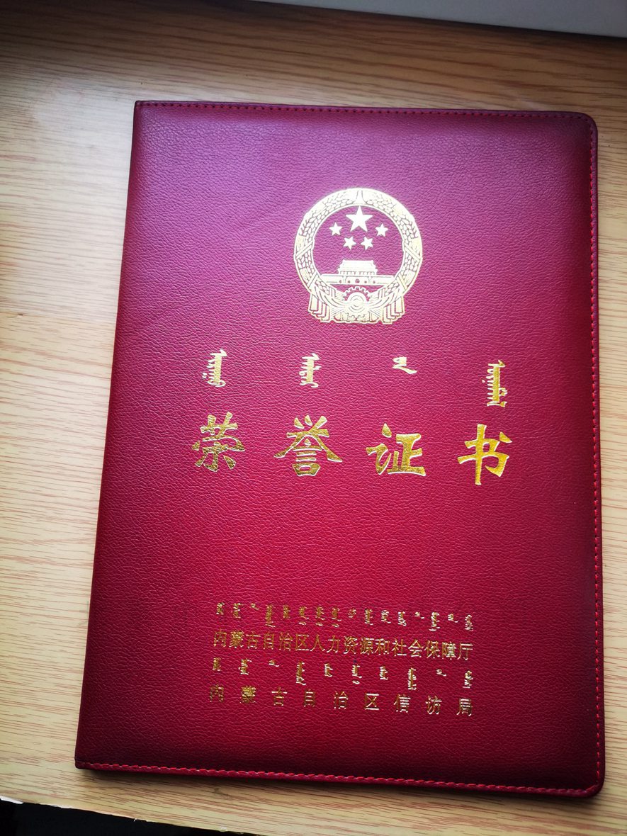 仿皮，珠光纸封皮
